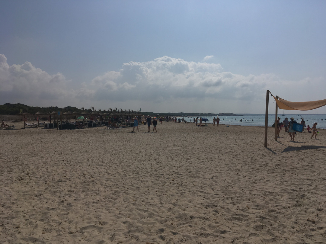 Playa de Sa Rapita-Campos必去景点