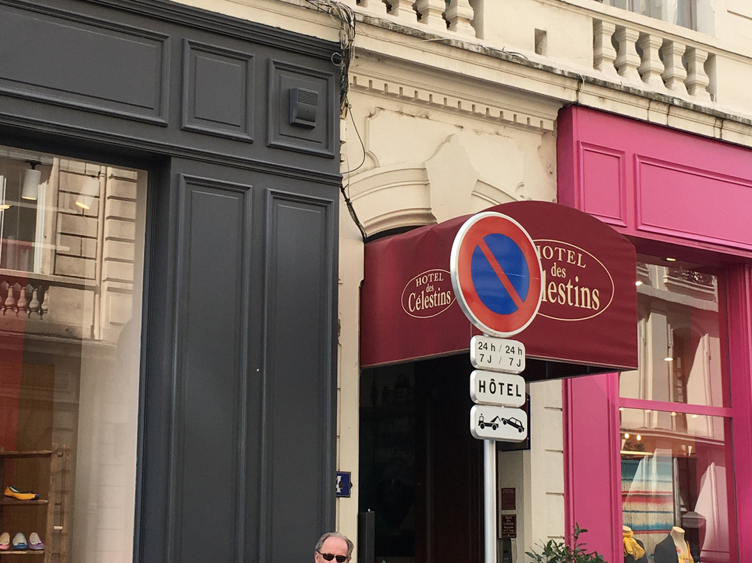 Hotel des Celestins主图