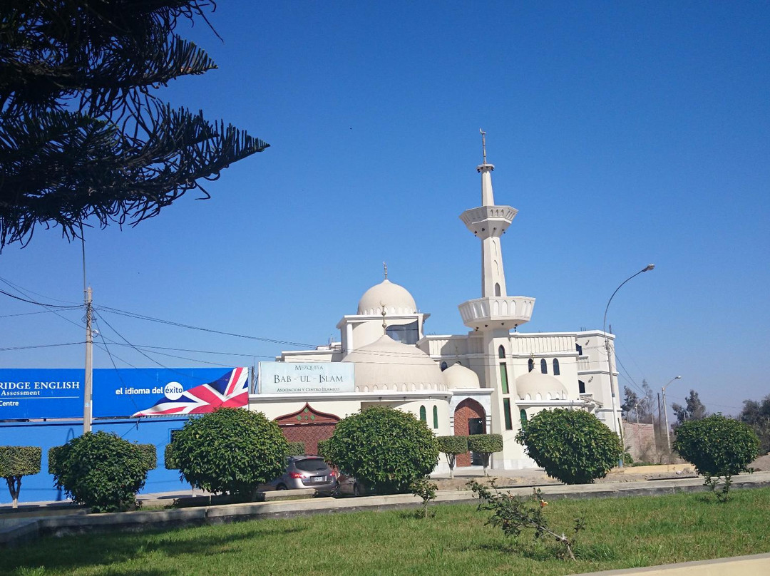 Mezquita Bab ul Islam景点图片