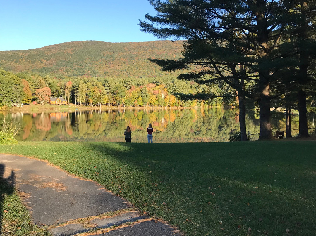 Williamstown Motel主图