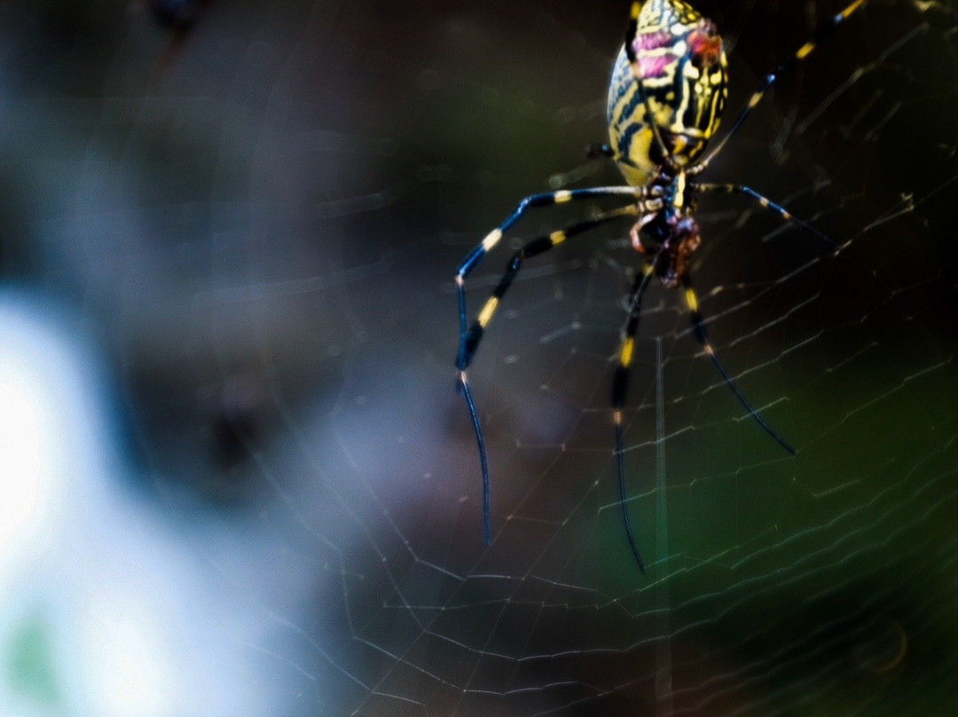 Cheongnyangsa Temple-奉化郡必去景点