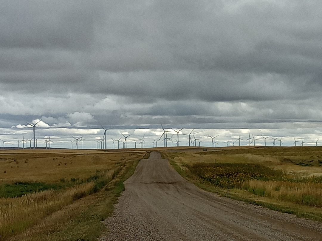 Glacier Wind Farm-Shelby必去景点