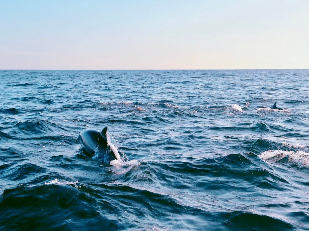 Trinco Eddi-Trincomalee必去景点