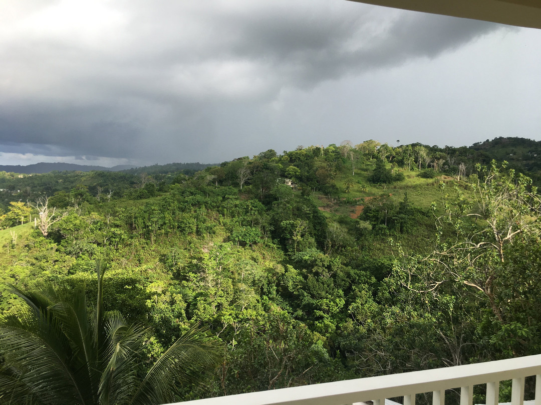 The Lion House Jamaica主图