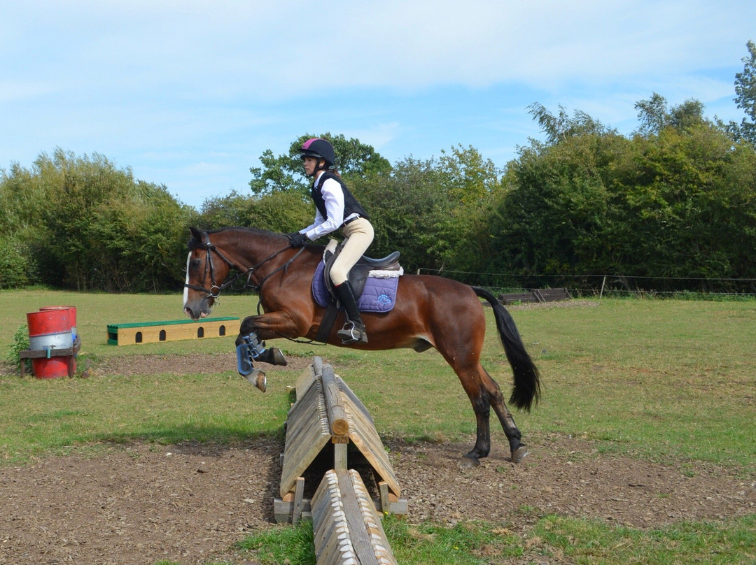 Hill Farm Stables Riding School景点图片