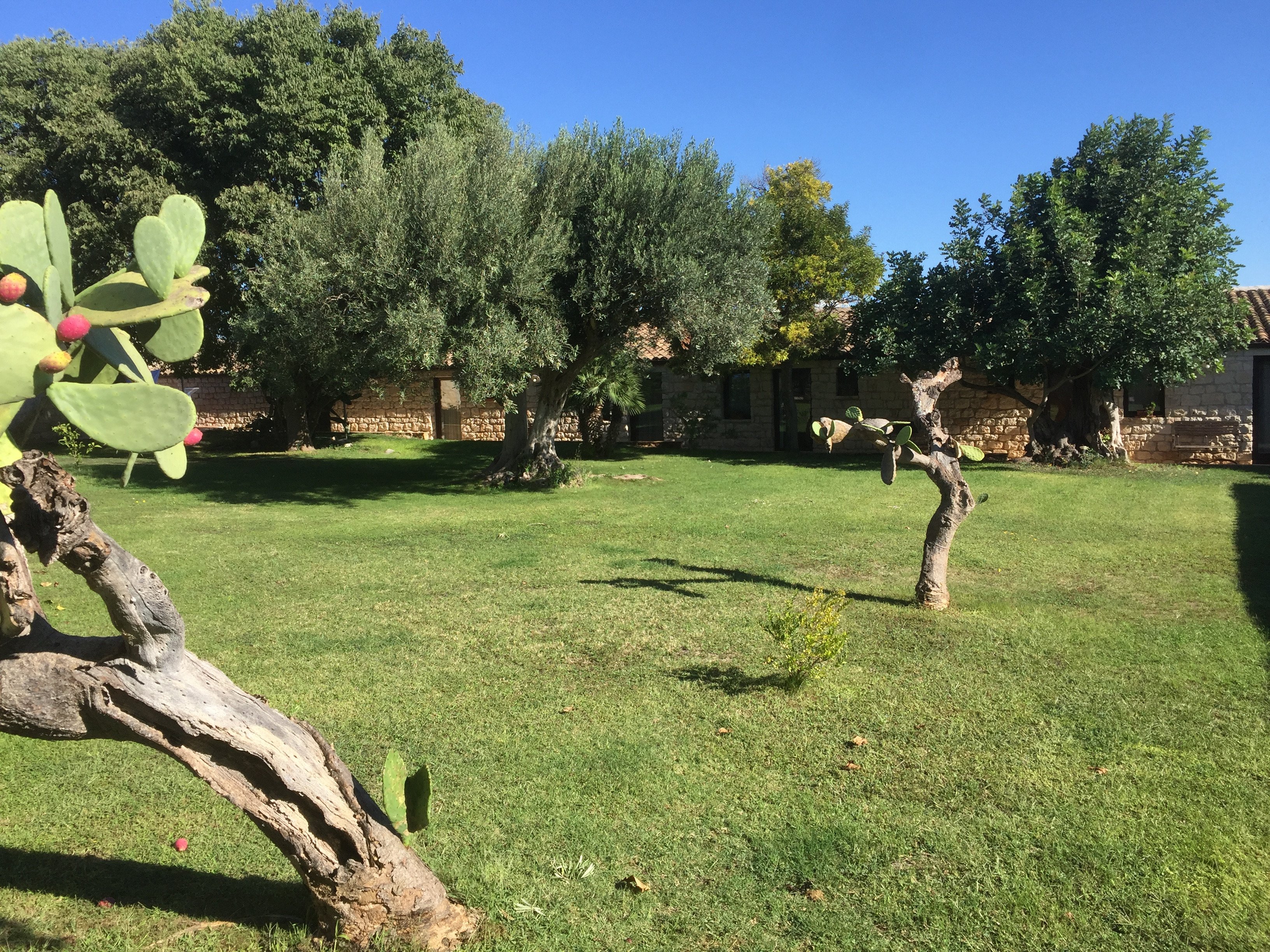 Nacalino Agriturismo-酒店景观