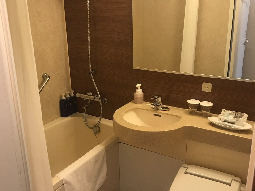 Richmond Hotel Miyazaki Ekimae主图