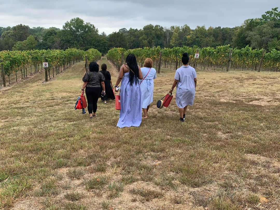 Vino 301 Wine Concierge - Tours-Bowie必去景点