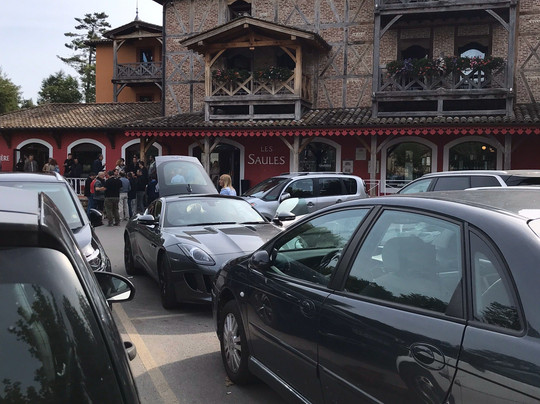 The Hotel Les Saules Parc & Spa主图