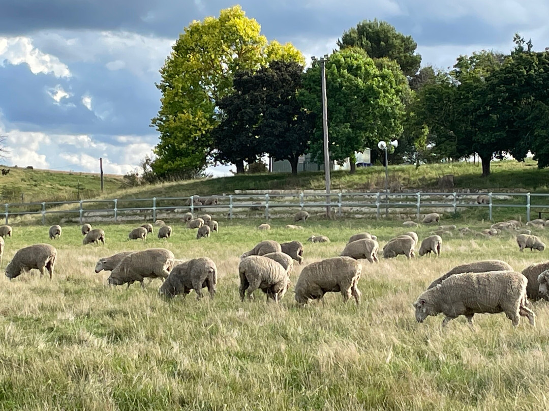 Taralga Self Guided Heritage Walking Tours