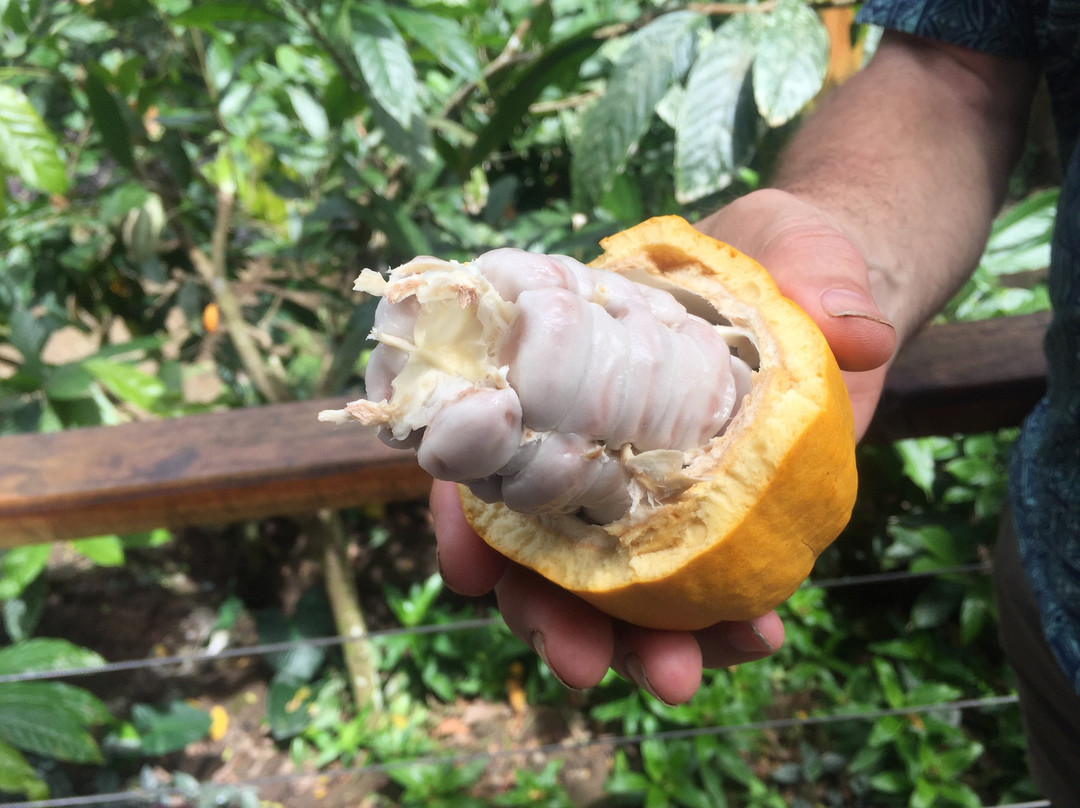 KokoMana-萨武萨武必去景点