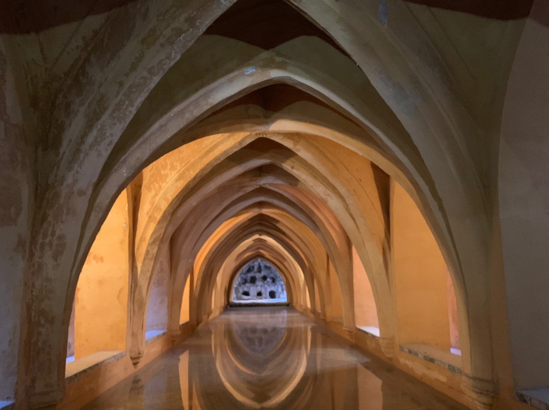 Seville Tours Co.-塞维利亚必去景点