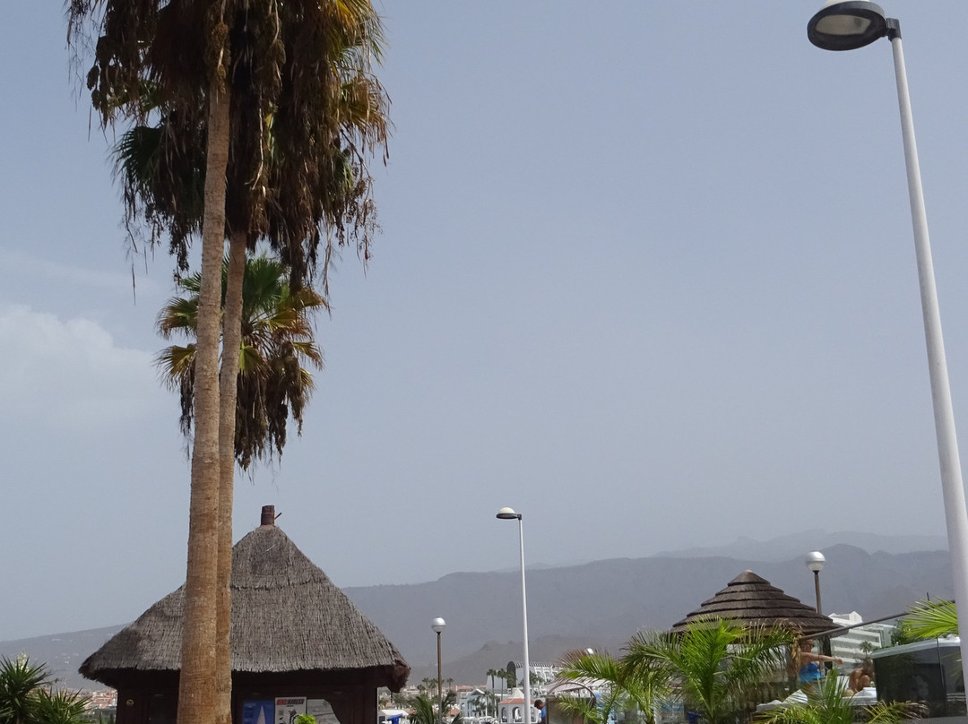 Playa de Torviscas-特纳里夫必去景点