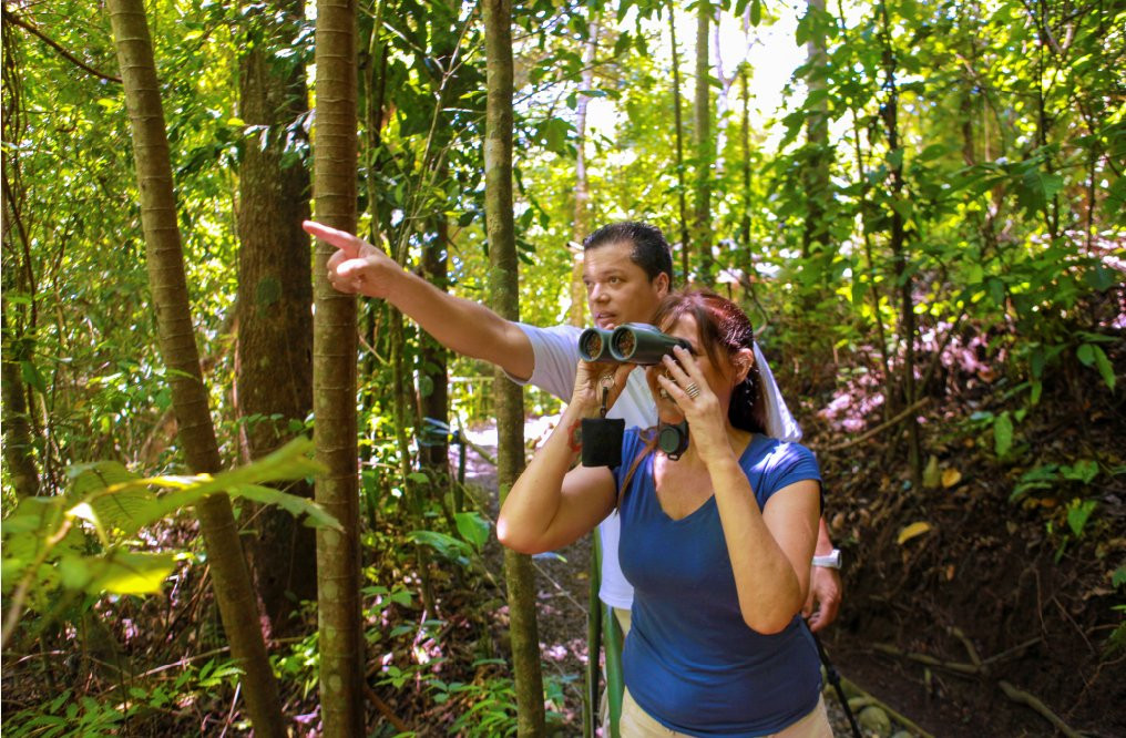 Greentique Costa Rica Tours景点图片