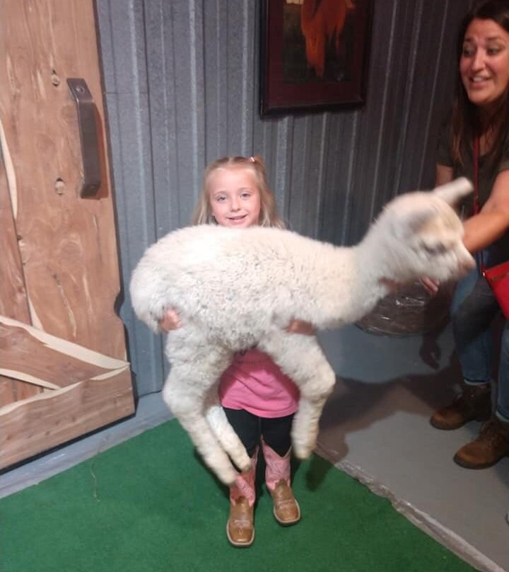 YaYa's Alpaca Farm-Garden City必去景点