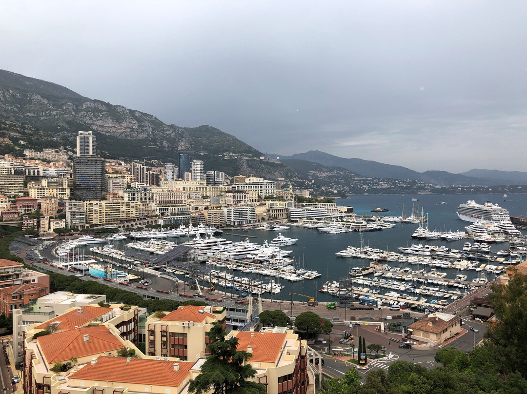 Provence Trips & Tours-戛纳必去景点