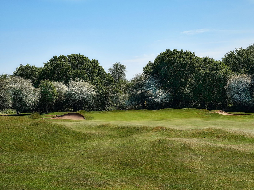 Yelverton Golf Club景点图片