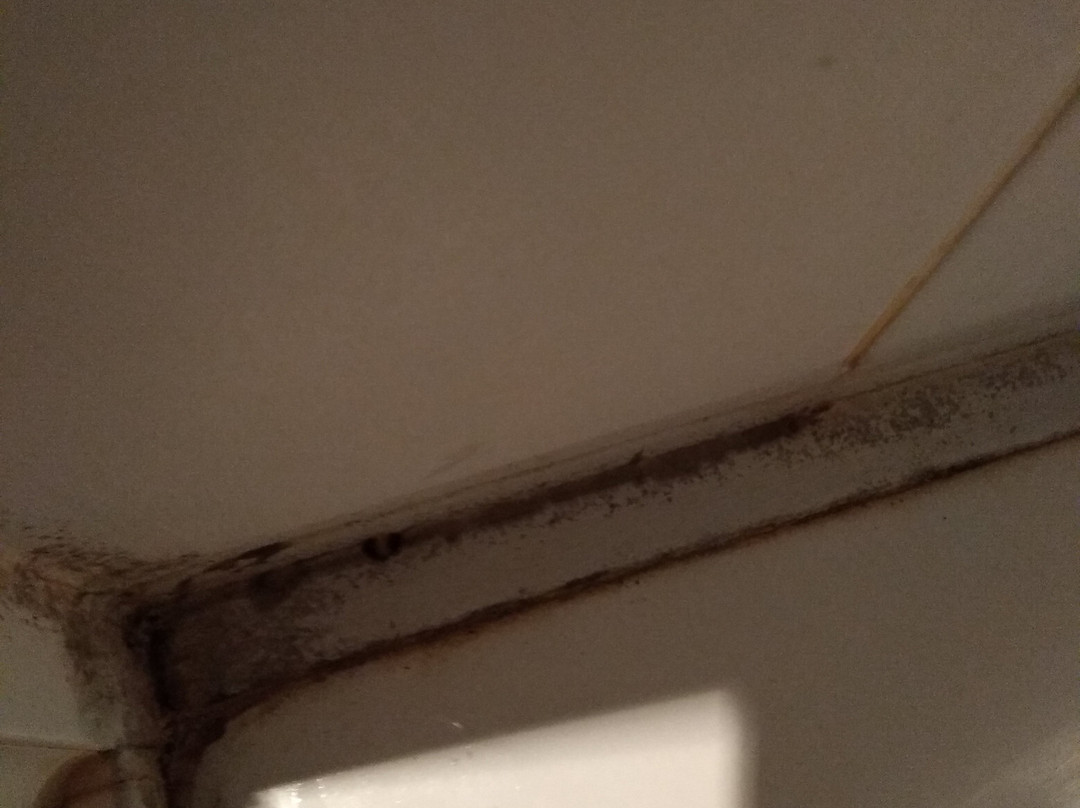 Village Vacances Charente-Maritime - Azureva Ronce-les-Bains主图