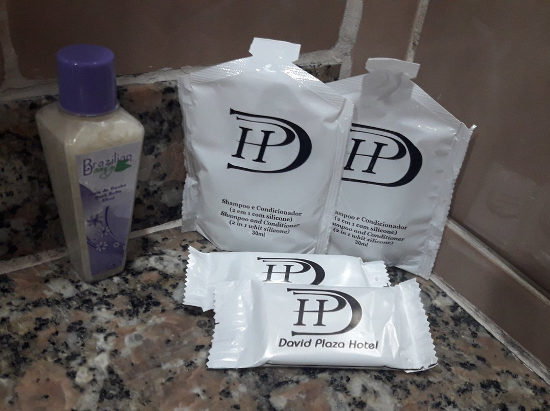 David Plaza Hotel主图