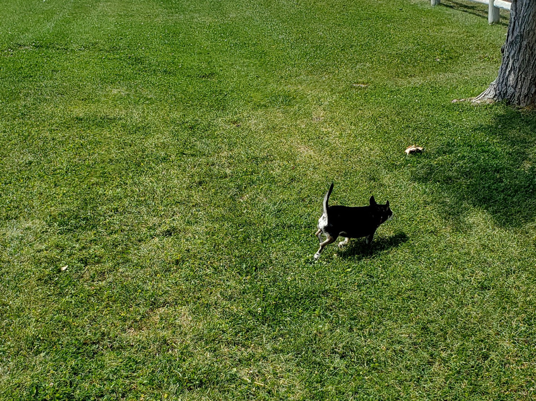 WorldMark Bison Ranch主图