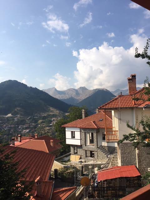 Archontiko Metsovou Boutique Hotel-酒店景观