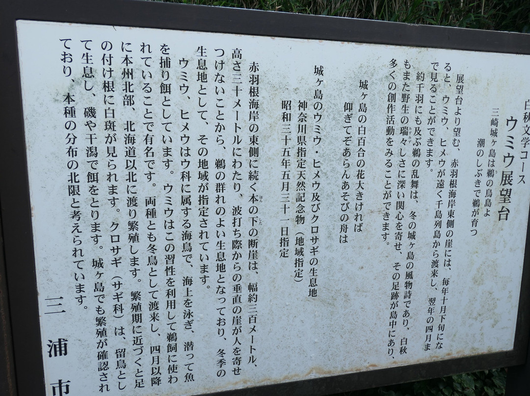 Umiu Observation Deck-三浦市必去景点