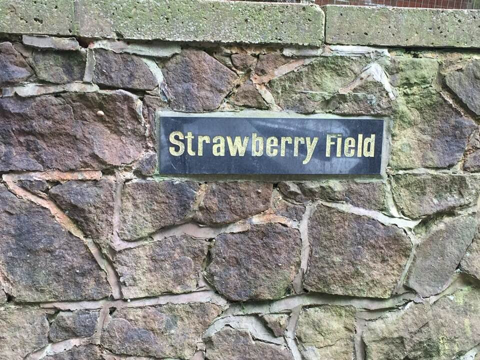 Strawberry Field景点图片