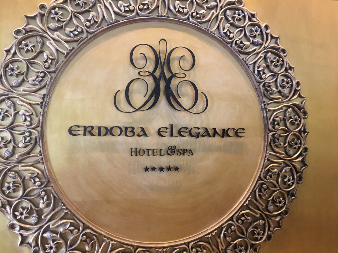 Ramada Plaza by Wyndham Mardin主图