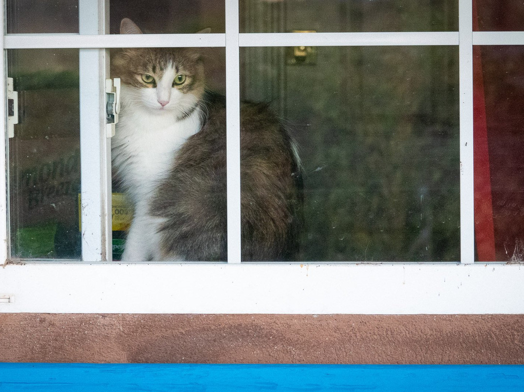 Casa Azul Bed & Breakfast主图