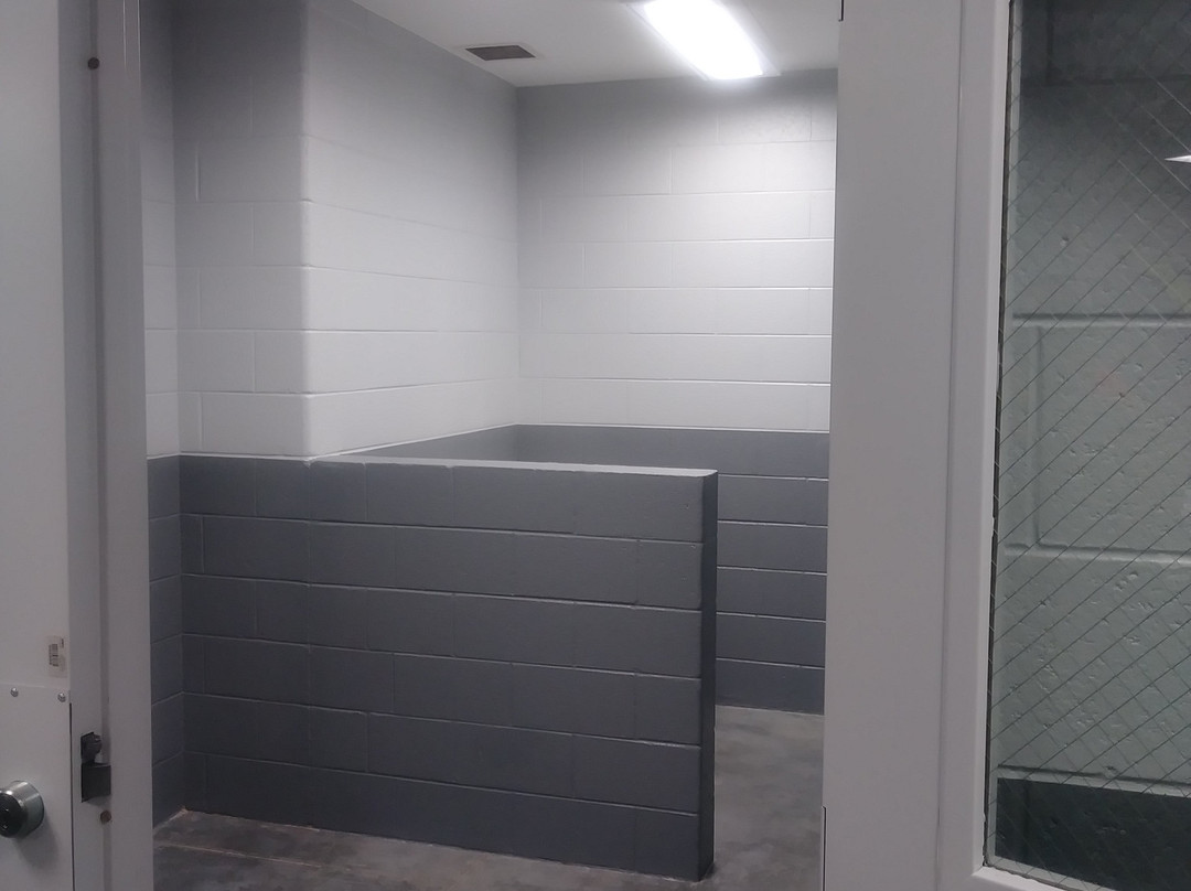 Mercedes Benz Stadium-亚特兰大必去景点