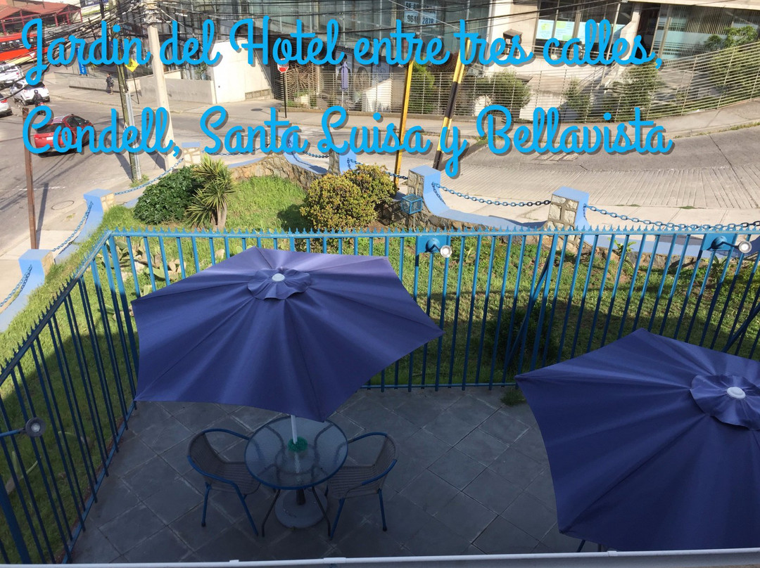 B & B Caballo Bayo主图