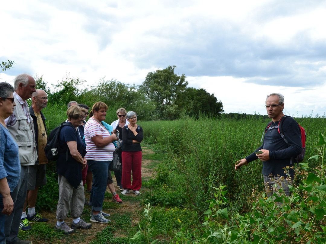 Mon jardinier conseil-Ecouflant必去景点