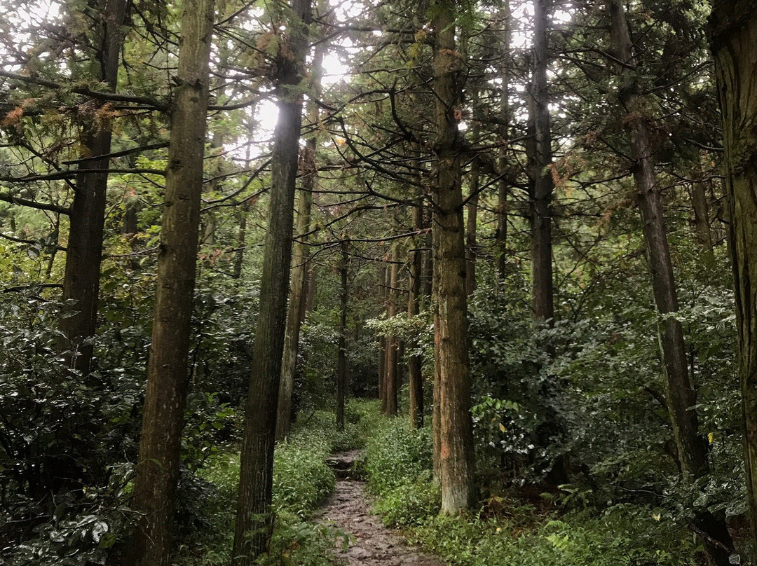 东白山景点图片