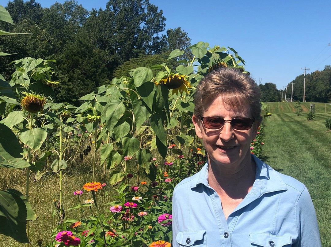 Long Row Lavender-Wright City必去景点