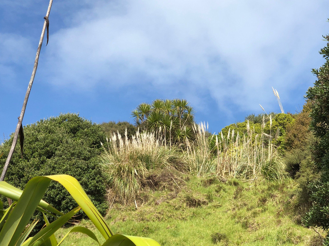 Waimamaku Coastal Track-Opononi必去景点