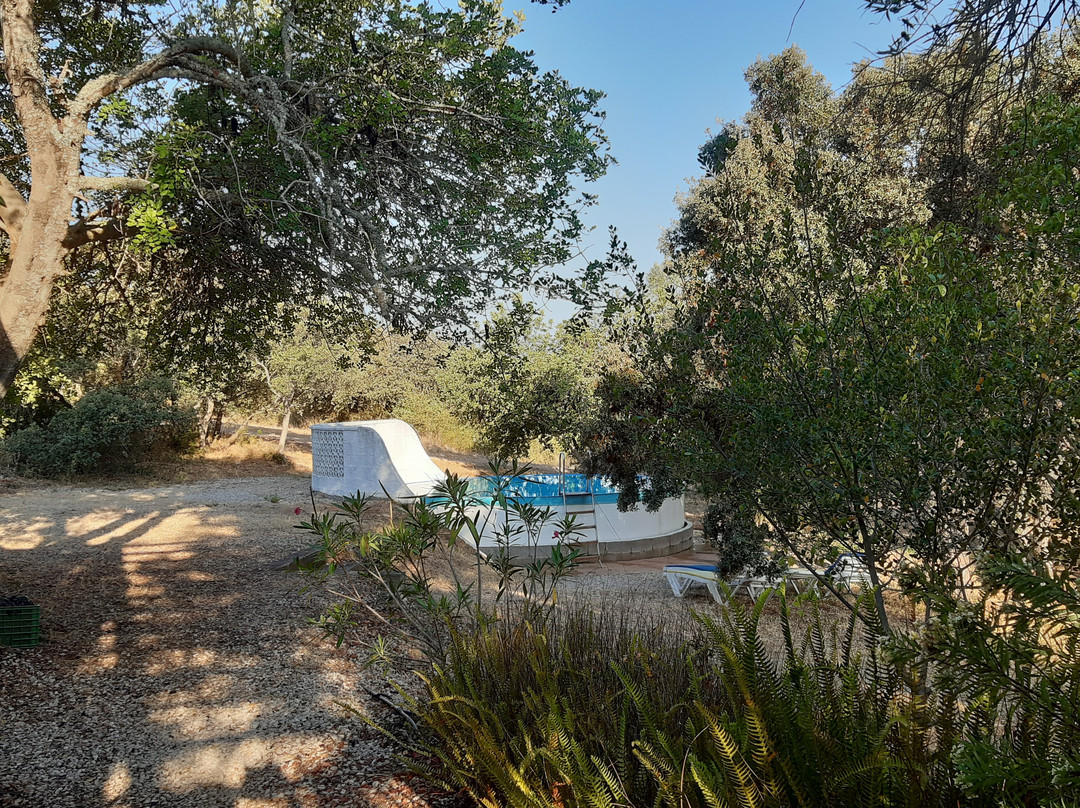 Quinta da Figueirinha主图