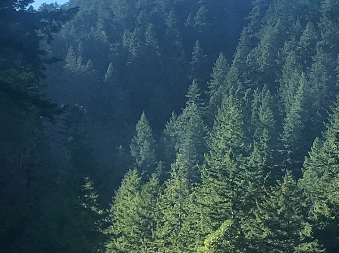Humbug Mountain State Park-Port Orford必去景点