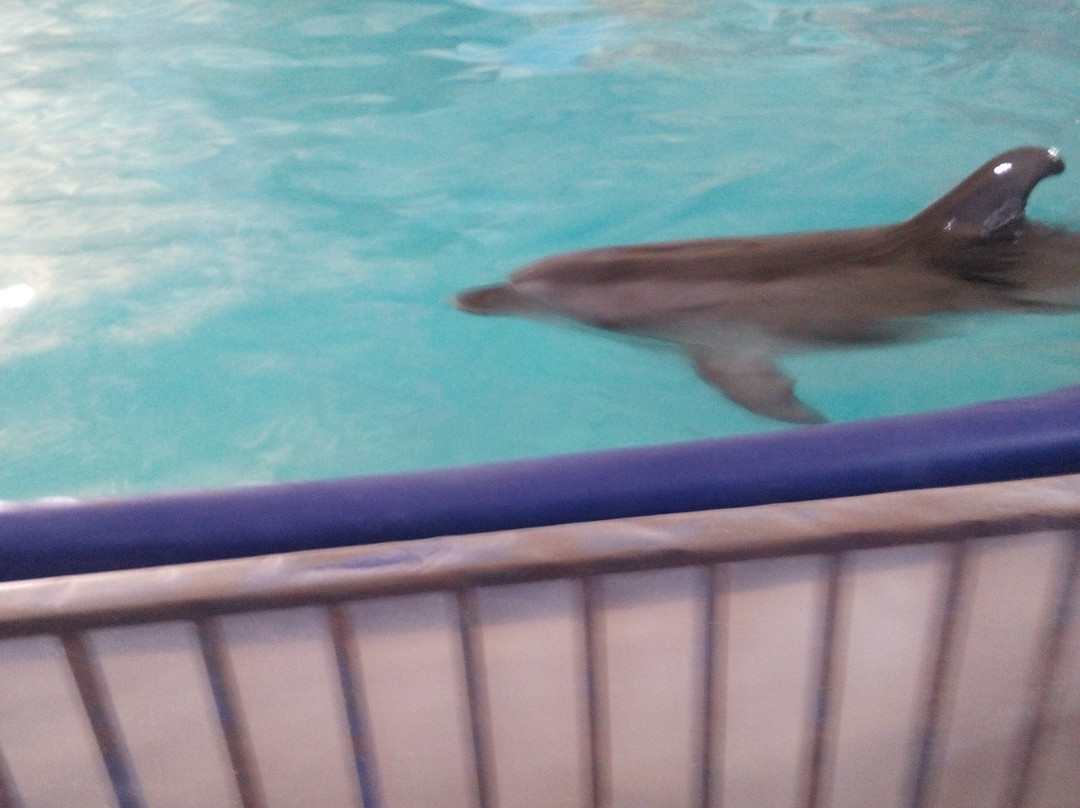 Lake Bolshoye Yarovoye-Yarovoye必去景点