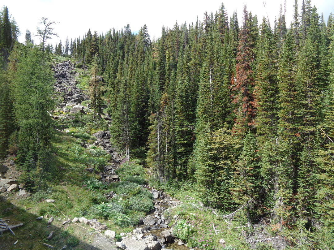 Sunshine Mountain Lodge主图