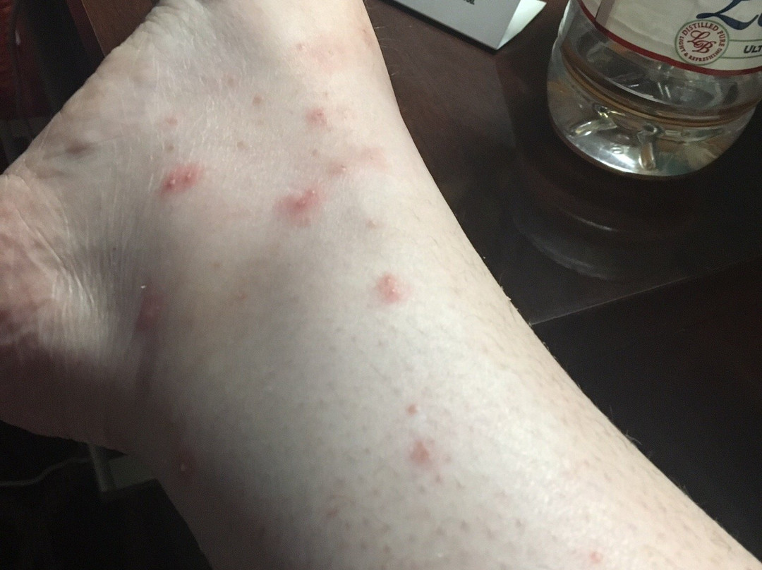 The Landmark Inn主图