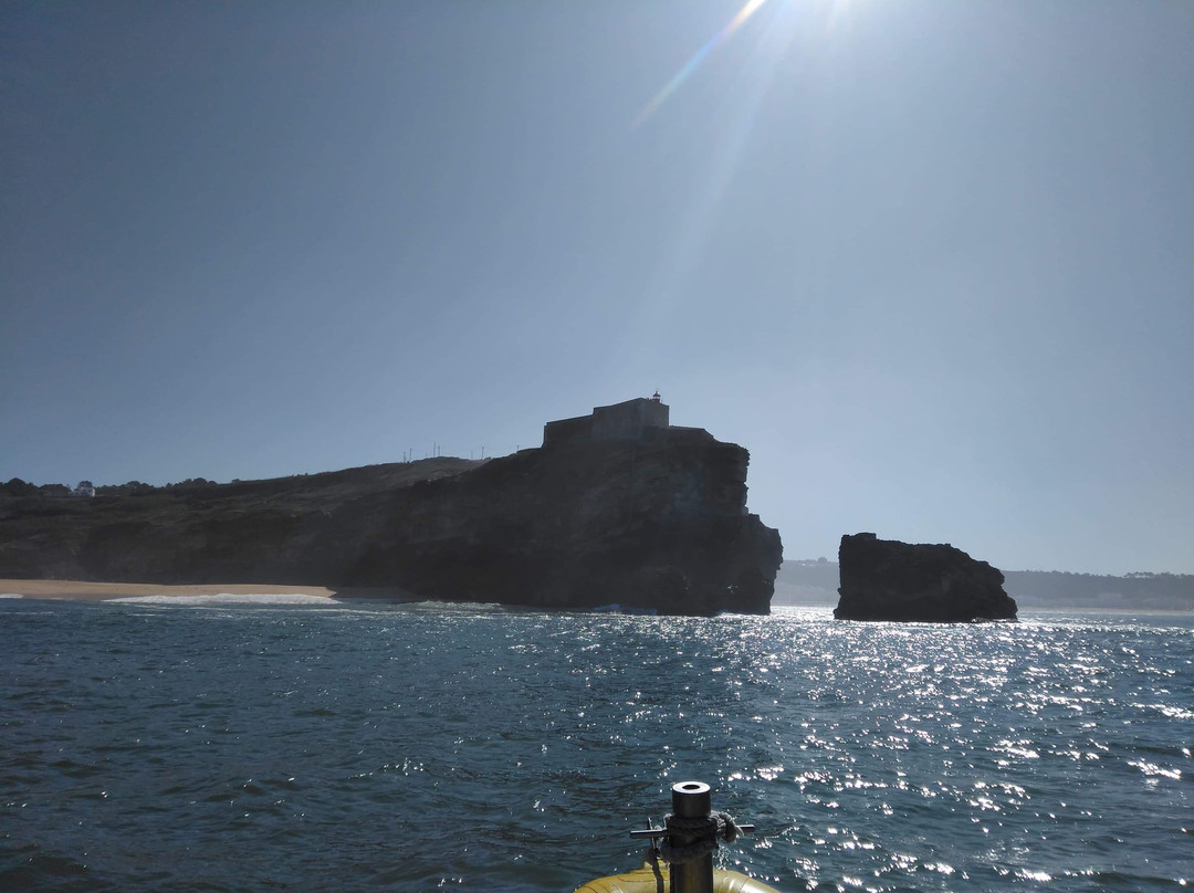 Atlantic Safaris-纳扎雷必去景点