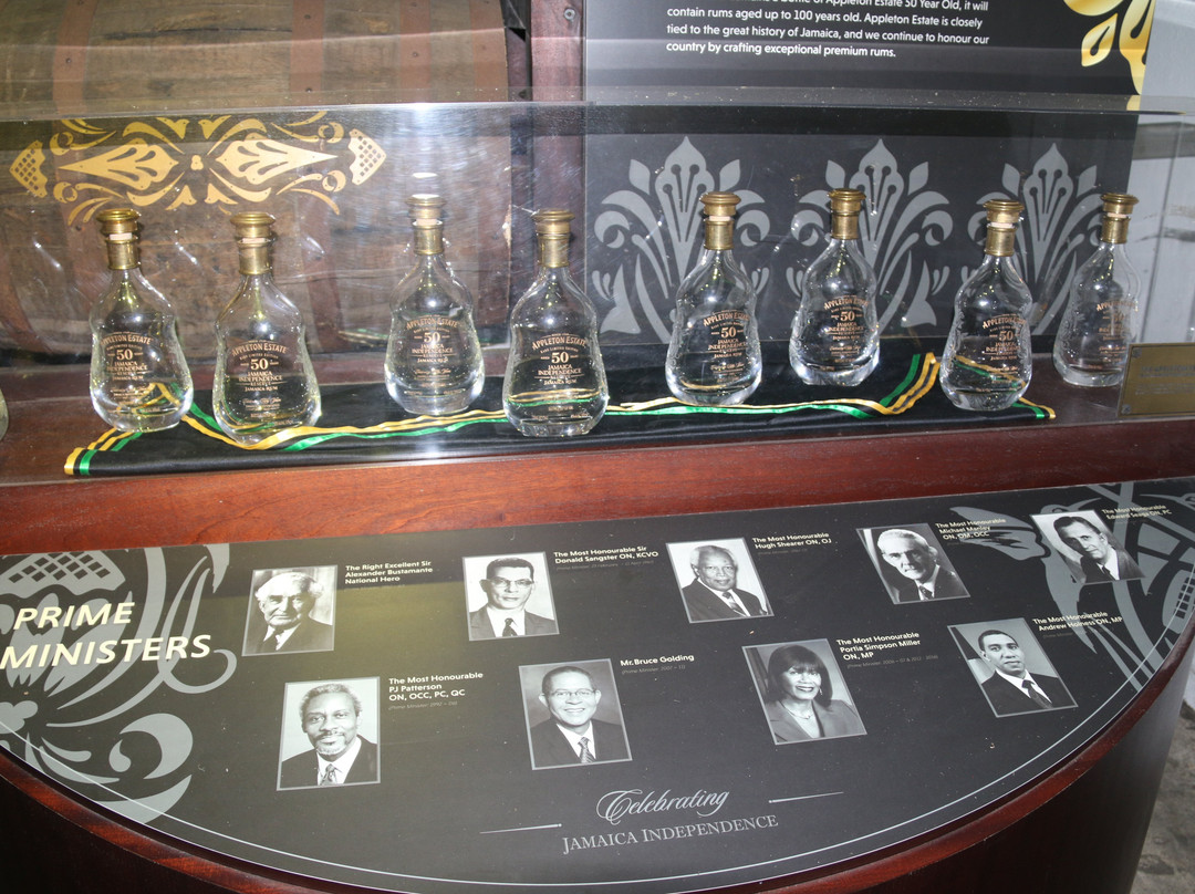 Antsman Tours Jamaica-内格里尔必去景点