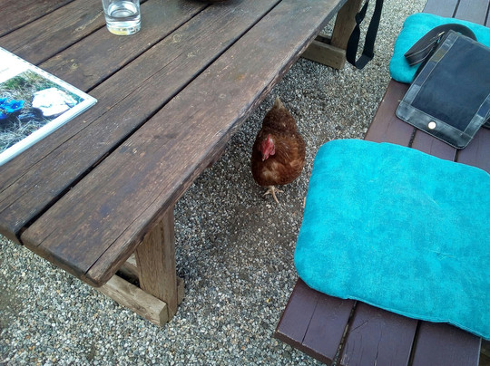 Goldeck Panoramastraße-Zlan必去景点