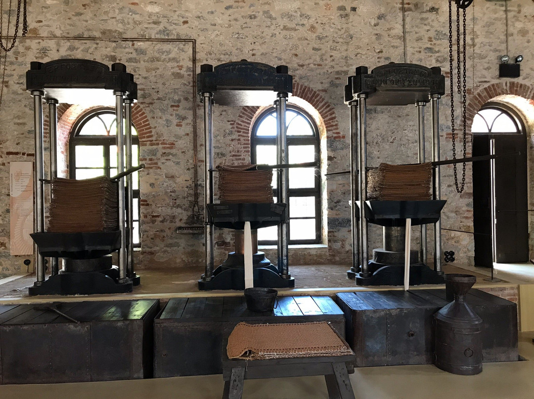 Olive-press Museum of Archipelagos Society景点图片