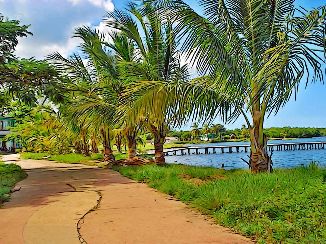 La Palma酒店住宿-Casa El Pescador