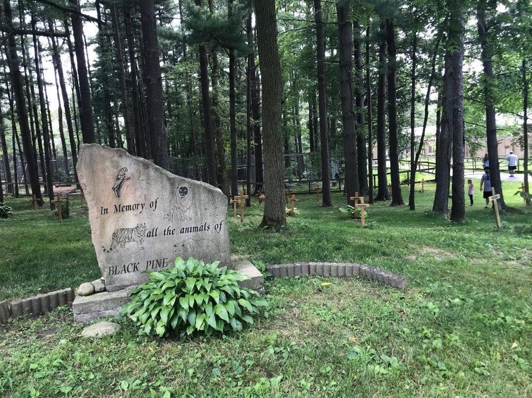 Black Pine Animal Sanctuary景点图片