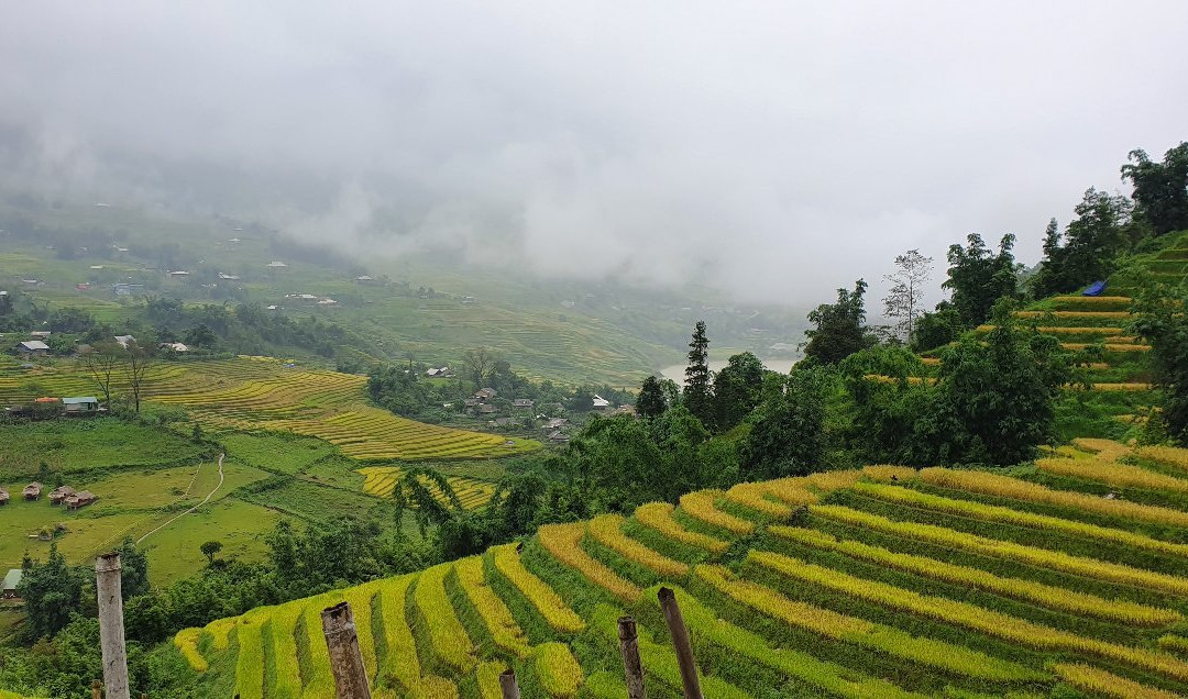 Trekking Tour Sapa景点图片