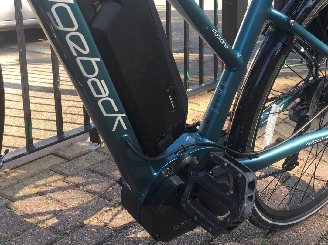 TY Cycles景点图片