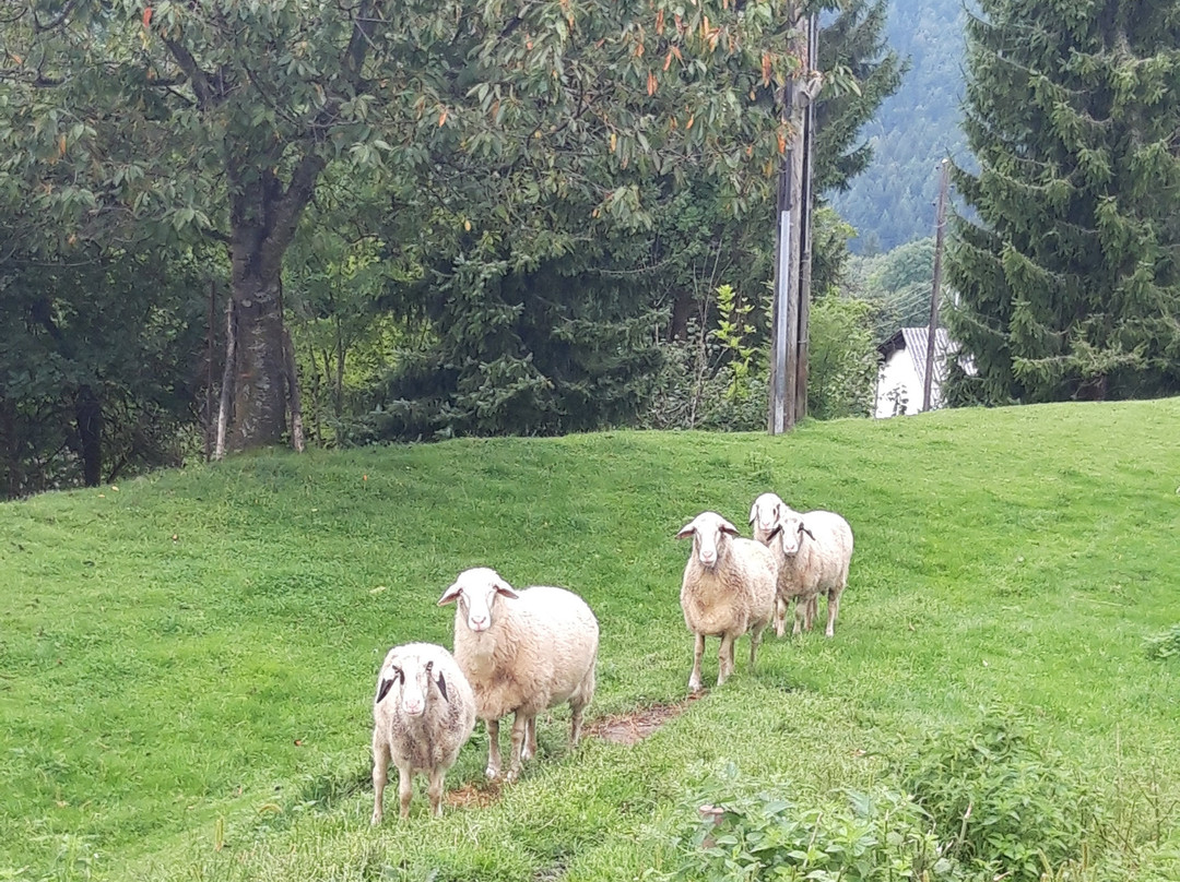 Biolandhaus Arche主图