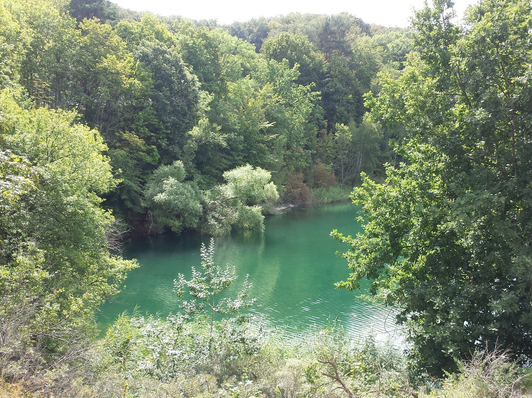 Turquoise Lake景点图片